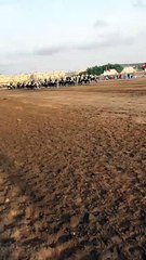 الخيل و التبوريدة