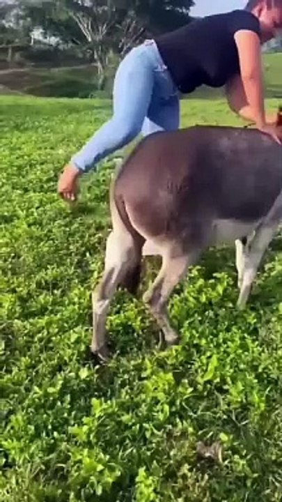Funny Video