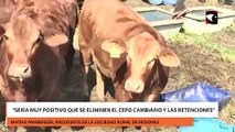 Sería muy positivo que se eliminen el cepo cambiario y las retenciones