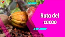 Buena Vibra | Ruta del Cacao: una experiencia inolvidable para quienes la disfrutan