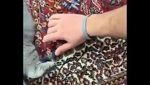 i migliori video di animali