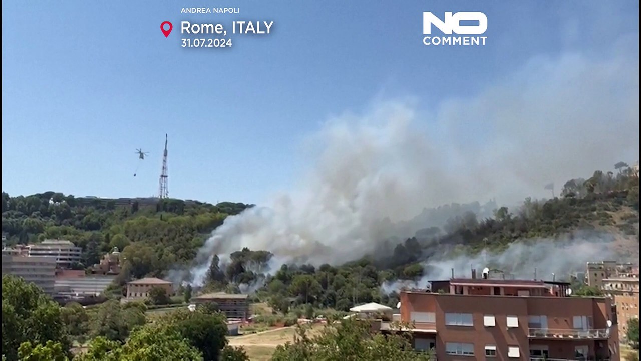 Incêndio de grandes dimensões em reserva natural de Roma
