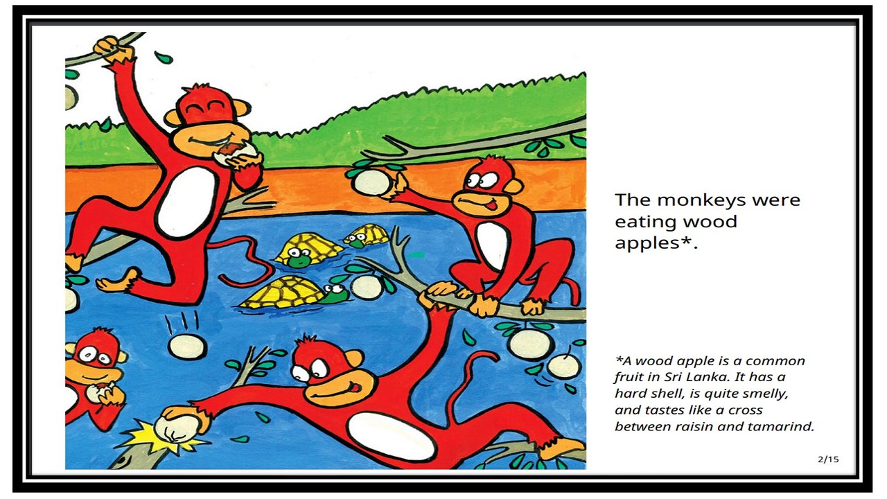The Clever Tortoise