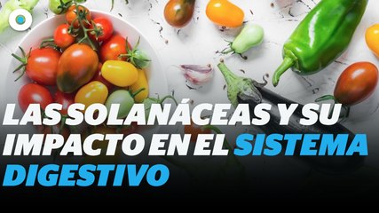 ¿Qué son las solanáceas y qué impacto tiene en el sistema digestivo? I Reporte Indigo