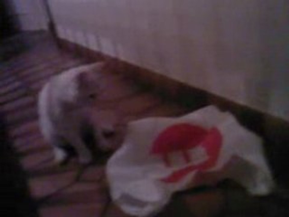 Booba