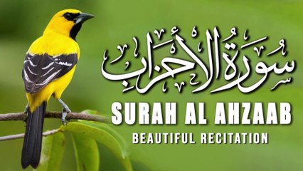 Surah Al-Ahzaab | Heart Touching Quran Recitation | Beautiful Voice |(سورۃالاحزاب)
