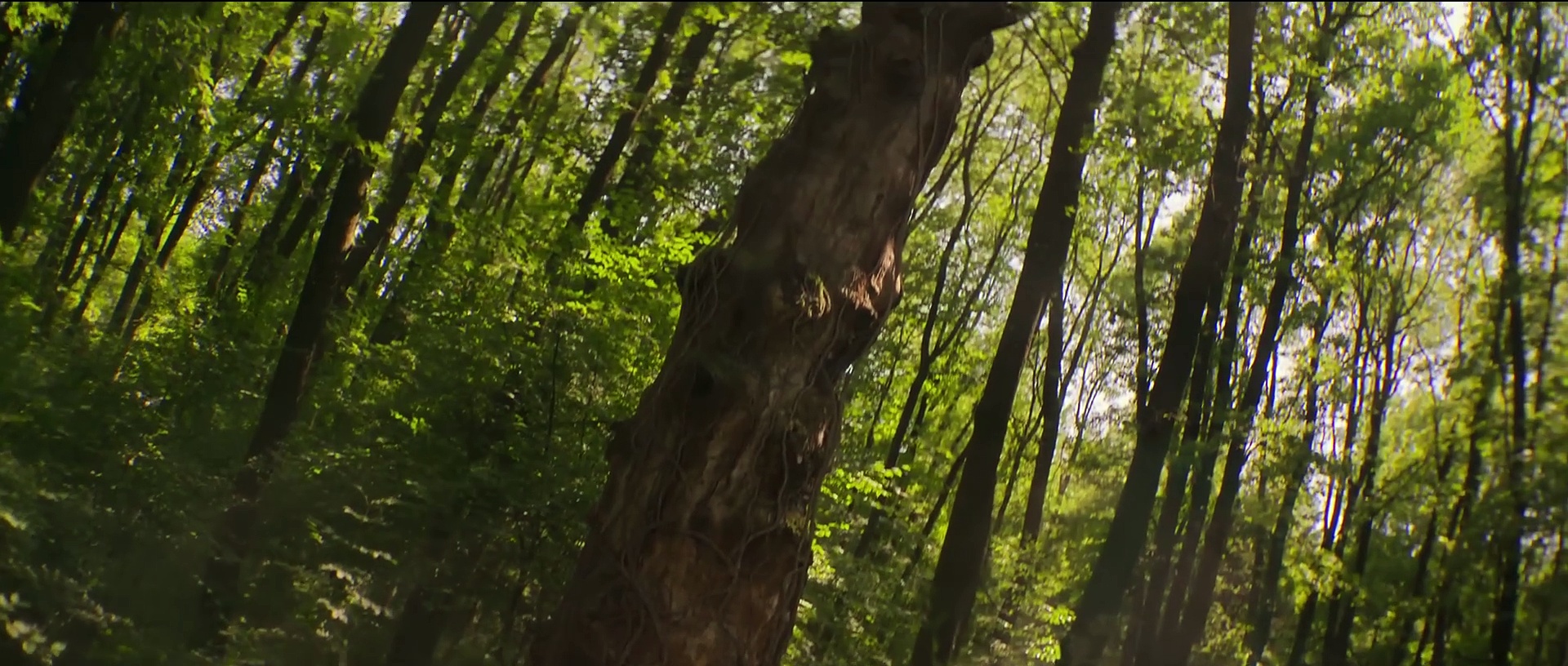 Bagman (2024) Official Trailer #1 starring Sam Claflin and Antonia Thomas