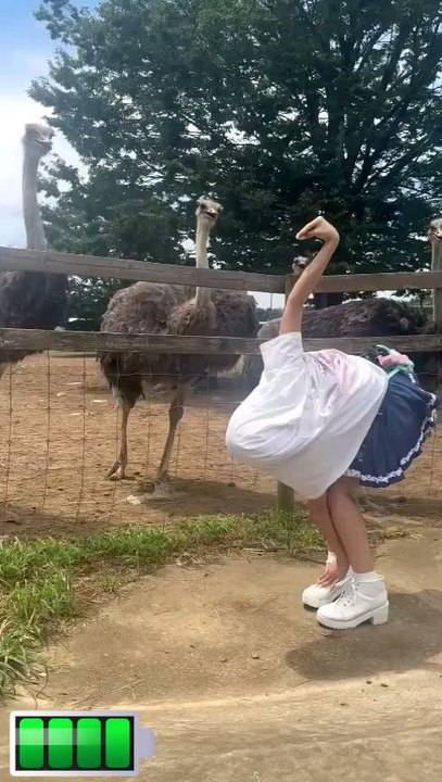Funny video  