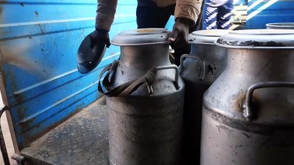 Indian Street Food - GIANT HALWA PUDDING CAKE Pali Rajasthan India