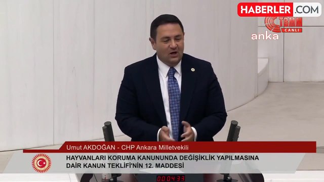 CHP Milletvekili Umut Akdoğan, sokak hayvanlarına ilişkin kanun teklifi görüşmelerinde konuştu