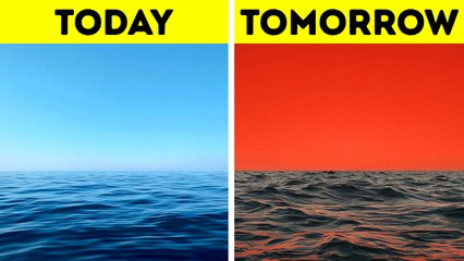 These Phenomena Prove Our World Is Weirder Than We Think