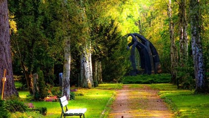 Meditation Music | Relaxing Music | Music for Stress Relief | Background Music