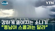 '동남아도 아니고....' 한 번 내리면 무섭게 쏟아지는 비, 대체 왜 ? [Y녹취록] / YTN