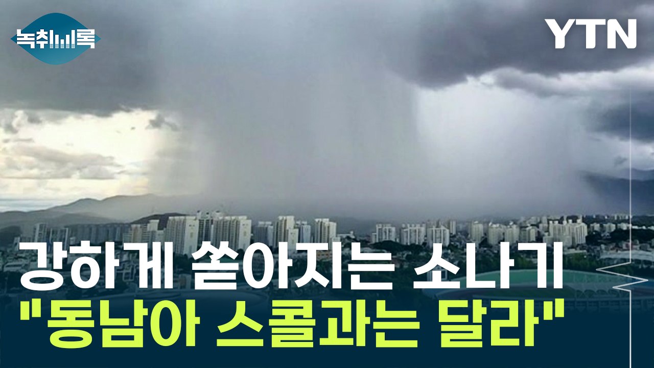 '동남아도 아니고....' 한 번 내리면 무섭게 쏟아지는 비, 대체 왜 ? [Y녹취록...