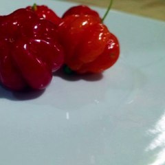 -ANDRÉS DE JESÚS VÉLEZ FRANCO- MÚSICA CONSCIENTE Y SOCIAL (PARTE 2) (@AndresdeJesus90)