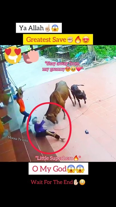 MashAllah ☝ Greatest Save  ​[7/30, 6:43 AM] Nouman arshad: TrendingNow#ViralVideo#MustWatch#DailyDose#EpicMoments#BreakingNews#ViralHits#WatchNow#TopVideos#HotTopic [7/30, 6:43 AM] Nouman arshad: PopularNow#VideoOfTheDay#Incredible#AmazingVideos#MustSee