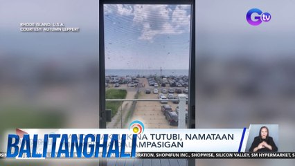 Sandamakmak na tutubi, namataan malapit sa dalampasigan | Balitanghali