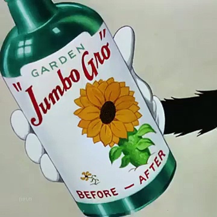 Tom and Jerry 