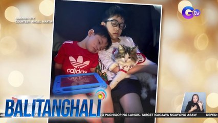 Pusang nawala nang 6 na buwan, natagpuan sa kasagsagan ng pagbaha | Balitanghali