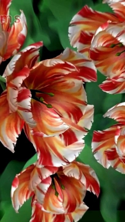 Most Beautiful Flowers in the World 2024 Blooming Flowers #shorts #flowers #timelapseblooms #4