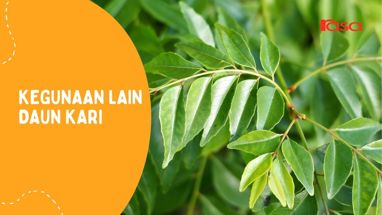 Kegunaan Lain Daun Kari