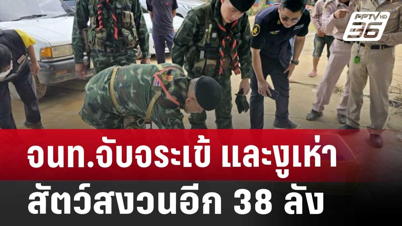 จนท.จับจระเข้ และงูเห่า สัตว์สงวนอีก 38 ลัง | เ...