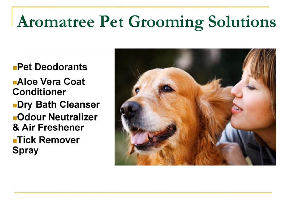 Aromatree Profile Video