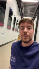 Mr beast with cute dog