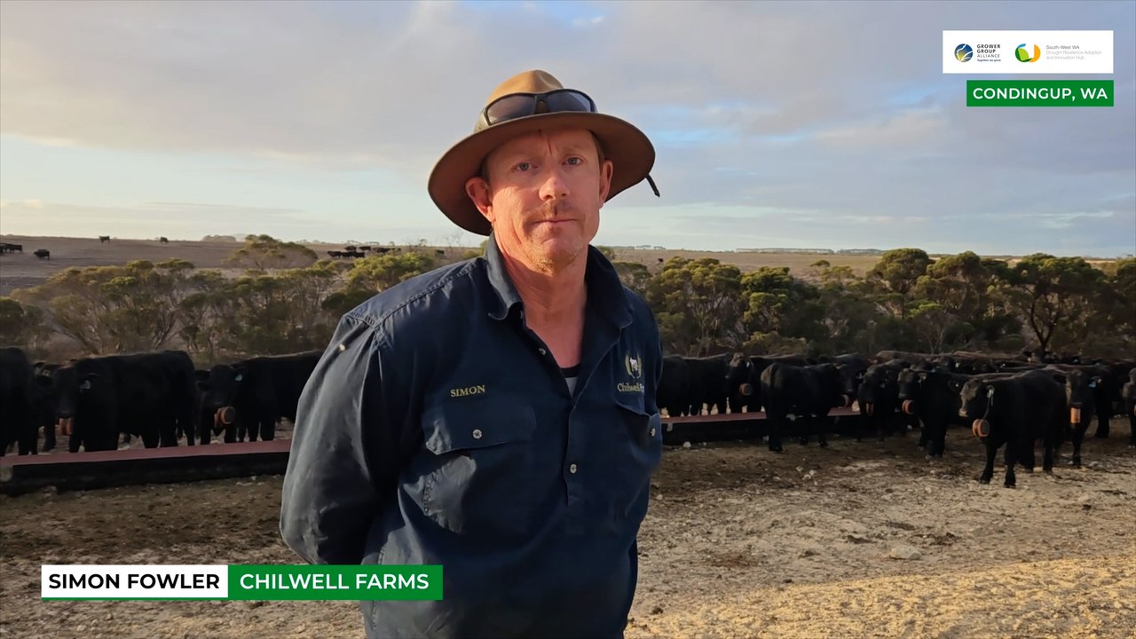 Virtual fencing | Farm Weekly