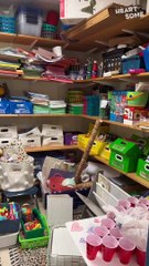 Amazing Classroom Closet Makeover ✨ | Transform Chaos into Organization