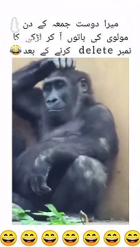 0_9823F760-0409-40C6-B3D7-BD38583CC563