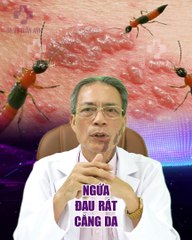 #183 LỆ ADS 72023 kiến ba khoang-29.7-182-H01 demo