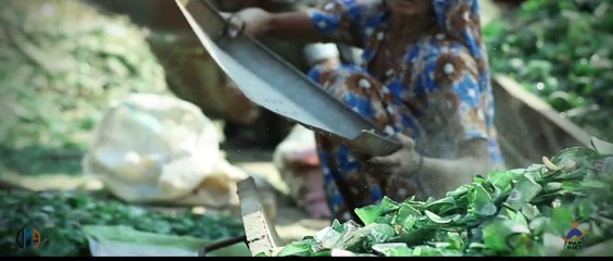 Sadhaai - The Bangle Makers in Hyderabad