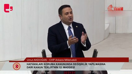 CHP'li Akdoğan: Sizin Tayyip Erdoğan dışında sevdiğiniz yok mu?