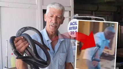 Adana’da beslediği yılanlarla şov yaparken neye uğradığın şaşırdı