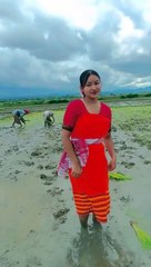 #মোৰ প্ৰেমৰ ষ্টেটাছ | #Love ষ্টেটাছ | assamese new song | #reels