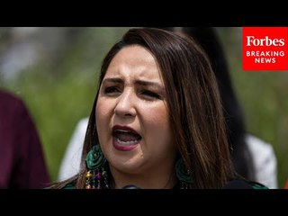‘I’m So Tired Of It’: Delia Ramirez Blasts ‘Sham Resolution’ Condemning Harris's Work On The Border