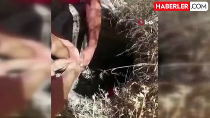 Kuyuya düşen keçi kurtarıldı