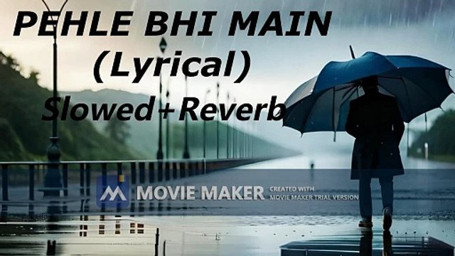 ANIMAL-PEHLE BHI MAIN(Lyrical) - Ranbir Kapoor,Tripti Dimri - Sandeep V - Vishal M,Raj S - Bhushan K