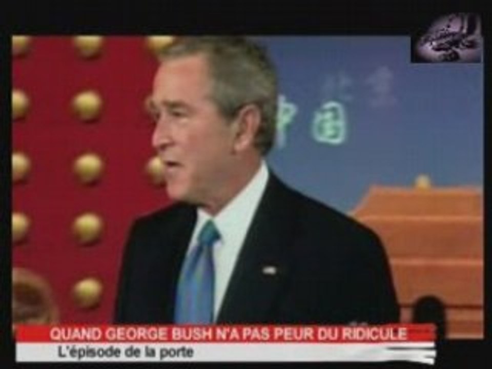 Bush 2