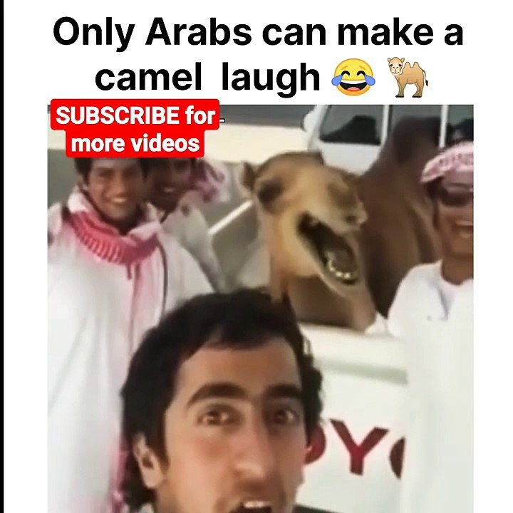#subscribe now for more videos. #arabs #memes #funny #entertainment #arabmemes #whatsappstatus #arab