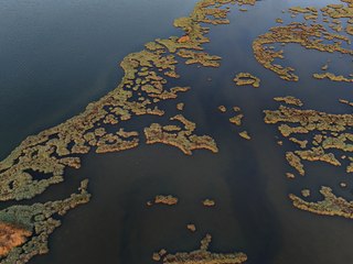 Göçmen kuşların cenneti Çakalburnu Lagünü havadan görüntülendi