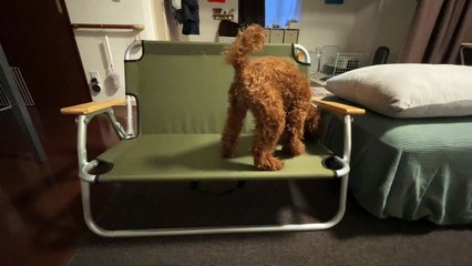 Testing the strength of new chair.