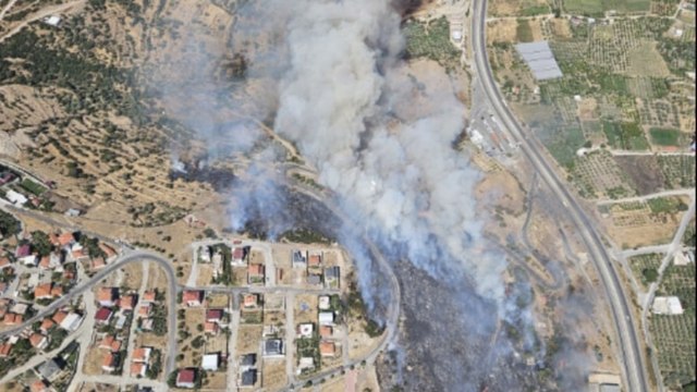 İzmir'de makilik ve otluk alanda yangın çıktı