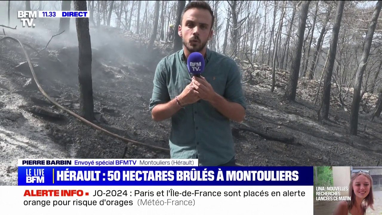 Incendie dans l'Hérault: 55 hectares brûlés à Montouliers