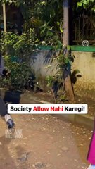 VD and Arjun popped together in last night 