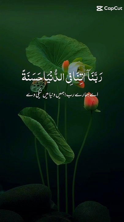 القرآن ترجمہ