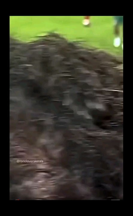 Ronaldo Handshaking
