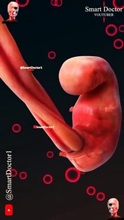 "Journey to Life: The Stages of Fetal Development""Miracle in the Womb: Understanding Fetal Growth""From Conception to Birth: A Guide to Fetal Development""Life Begins: Exploring the Phases of Fetal Development""The Evolution of Life: Fetal Development We