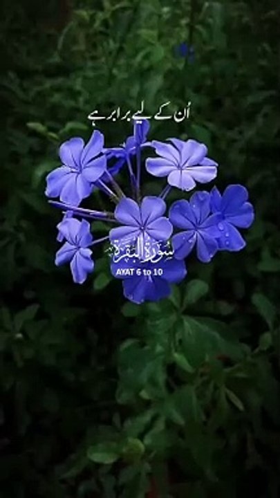 Surah baqarh